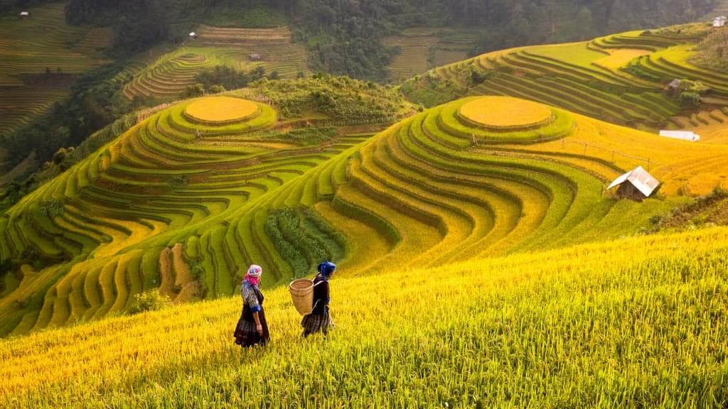 best time to go to vietnam for weather sapa
