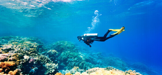 scuba-diving-in-Cambodia.jpeg