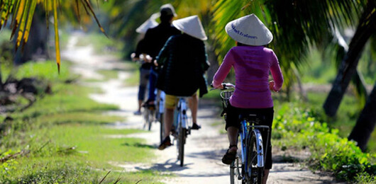free-things-to-do-in-hoi-an-bike-to-cam-thanh-village.jpg
