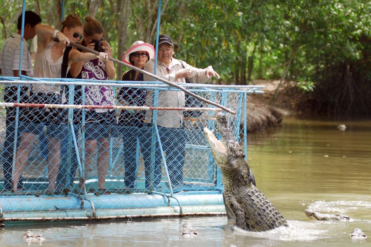 Monkey Island Ho Chi Minh City crocodile fishing