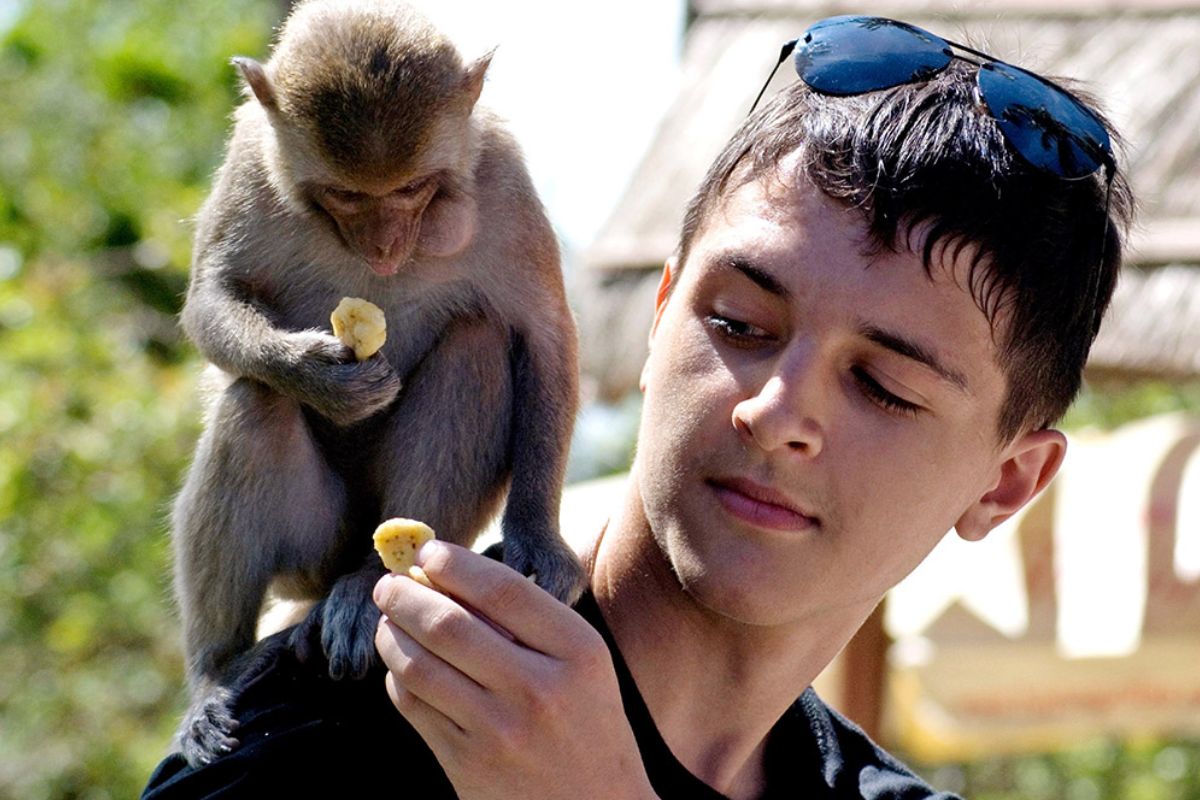 Monkey Island Ho Chi Minh City interact with monkeys