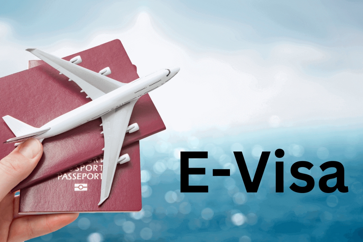 Vietnam e visa requirements for example