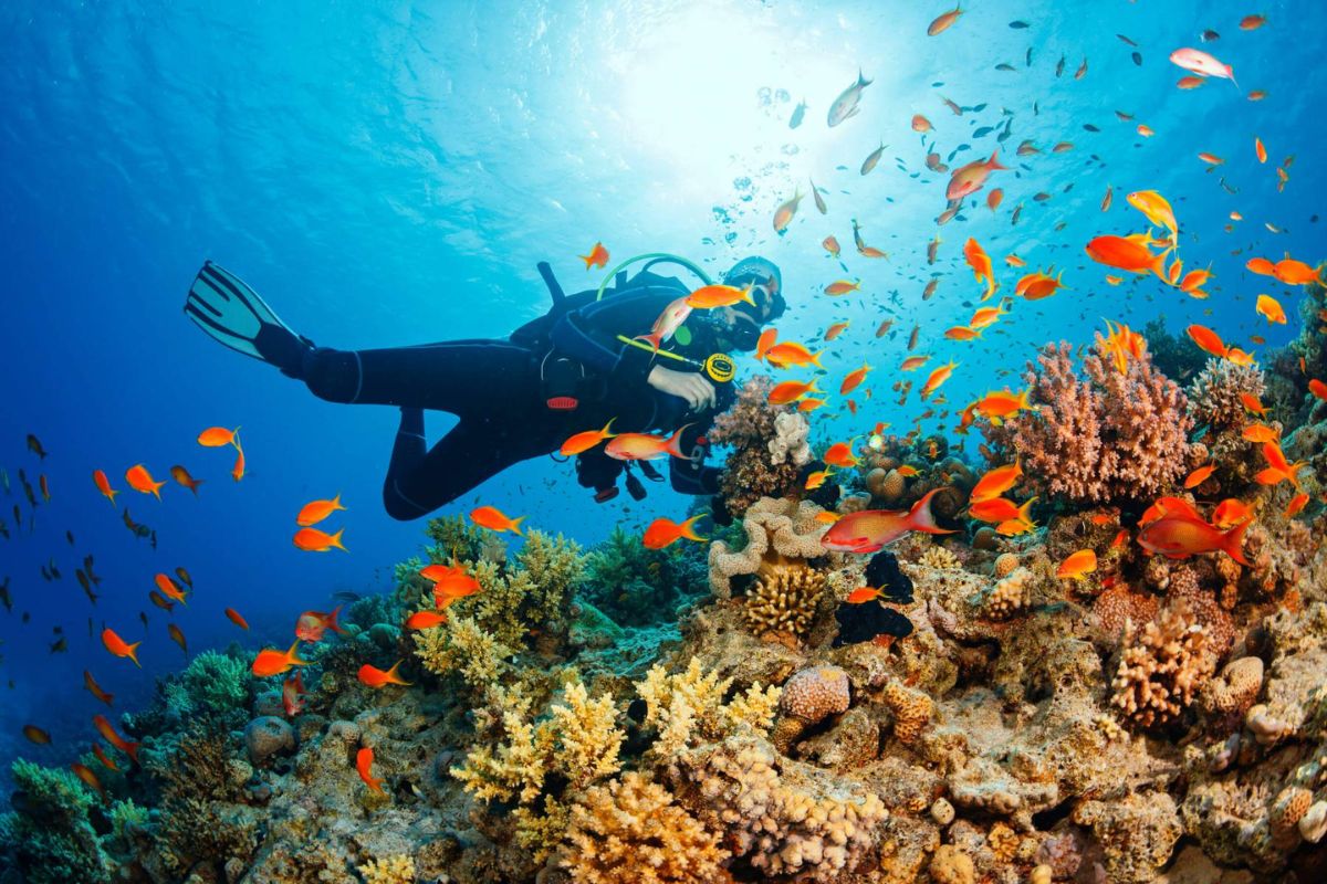best time to visit nha trang scuba diving in Nha Trang