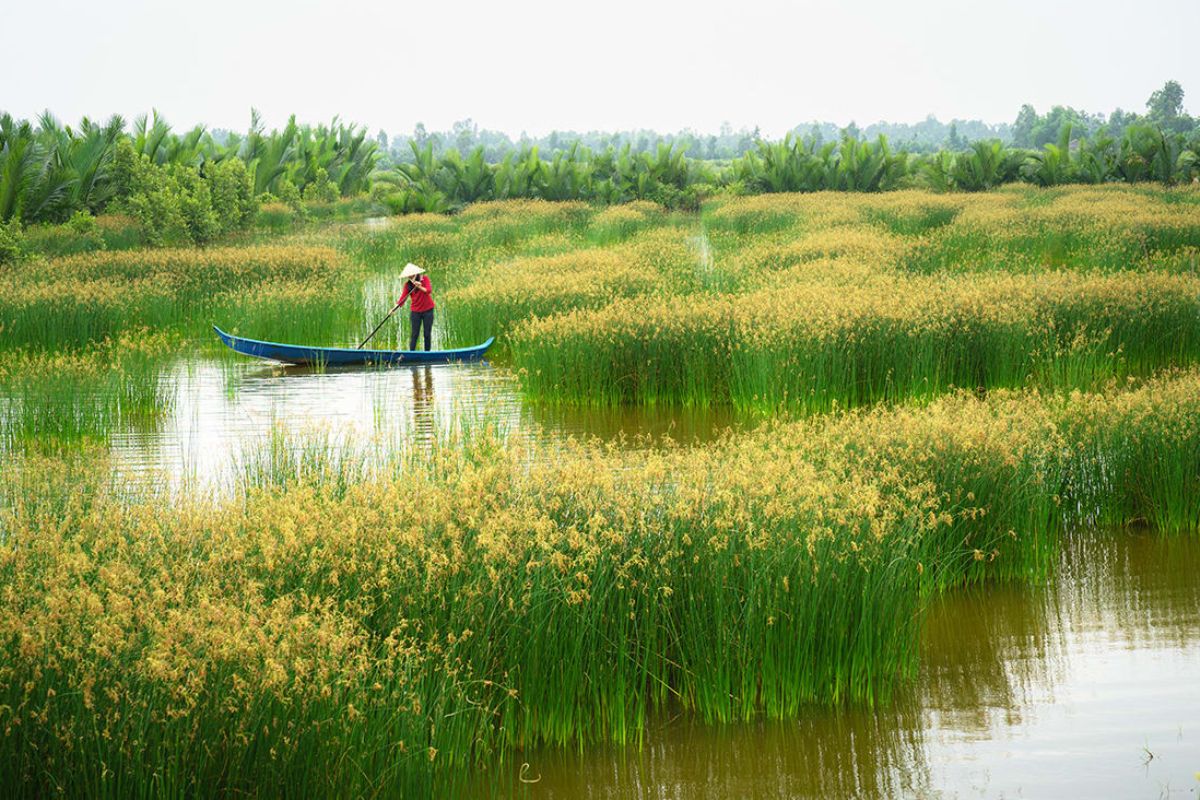 vietnam holiday packages from australia mekong delta