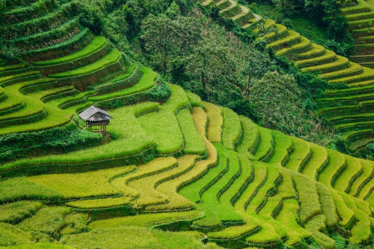 vietnam holiday packages from australia sapa vietnam