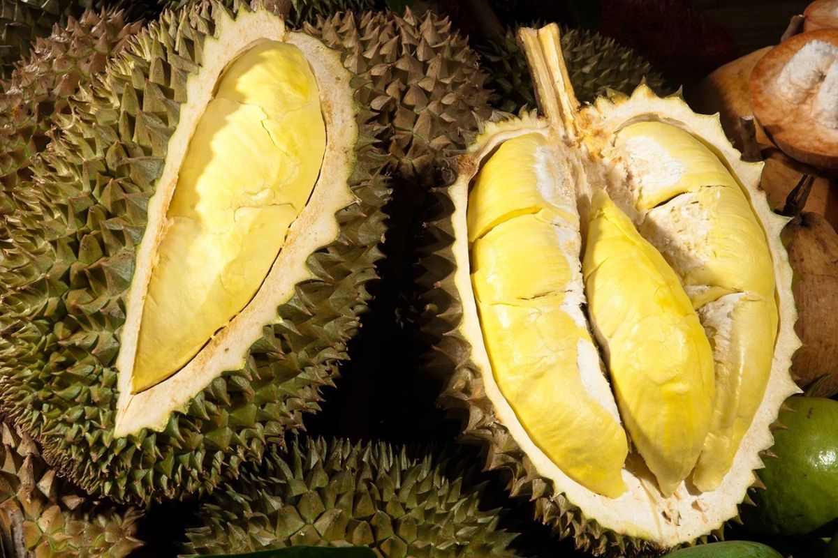 best fruit to eat in vietnam durian
