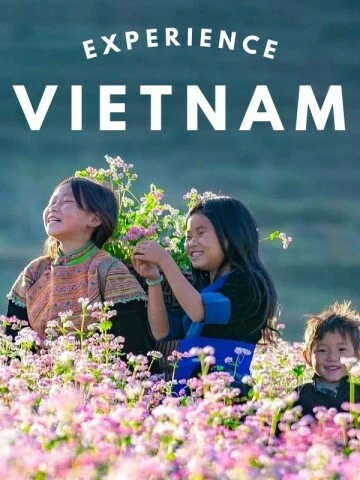 experience-vietnam.webp
