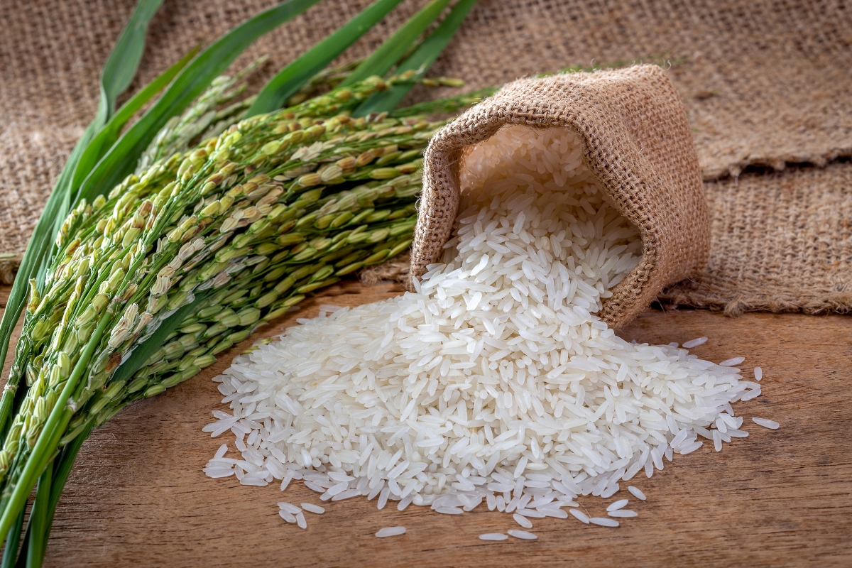what type of rice is used in vietnamese cuisine rice