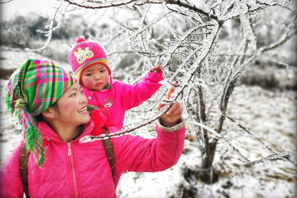 does vietnam get snow snow in northern vietnam