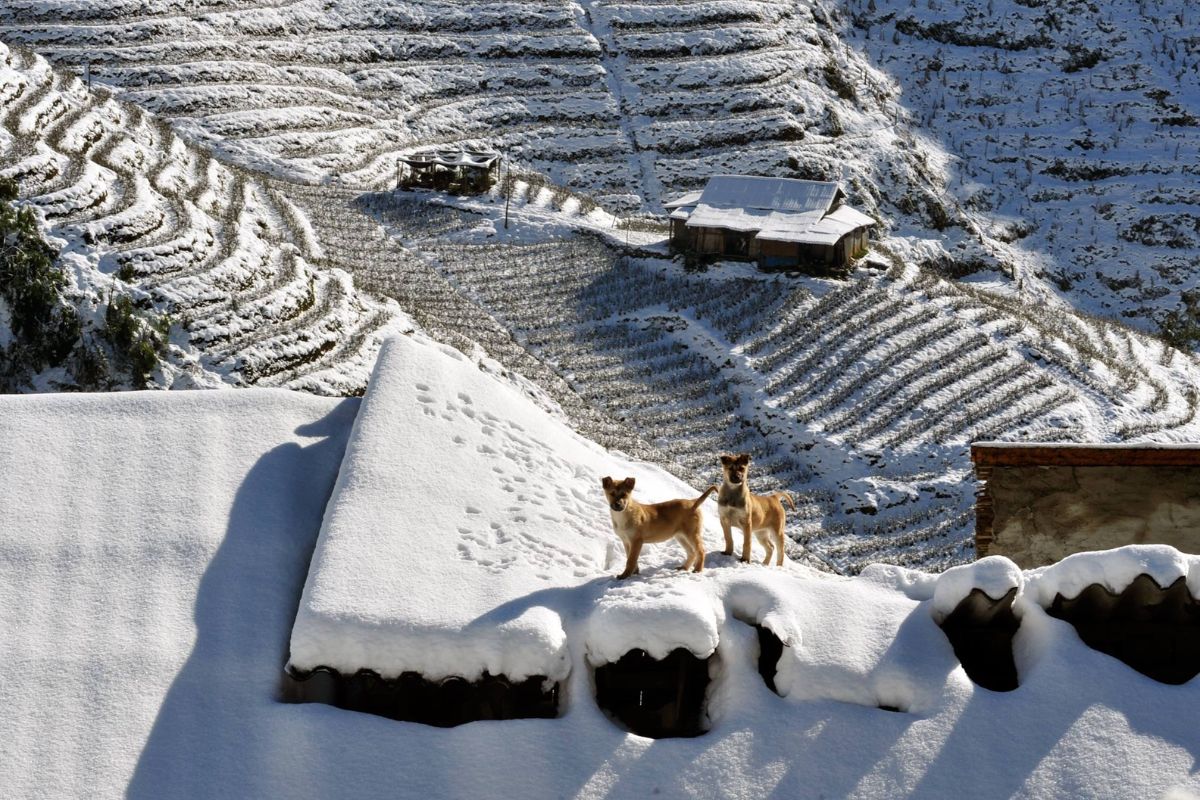 does vietnam get snow vietnam snowfall