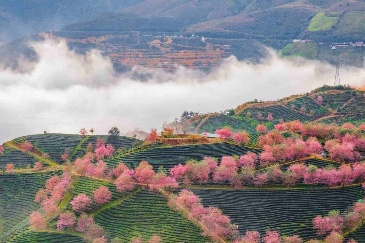 best time visit sapa sapa in spring