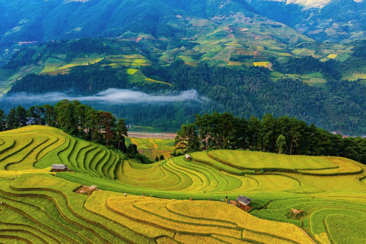 best time visit sapa sapa vietnam