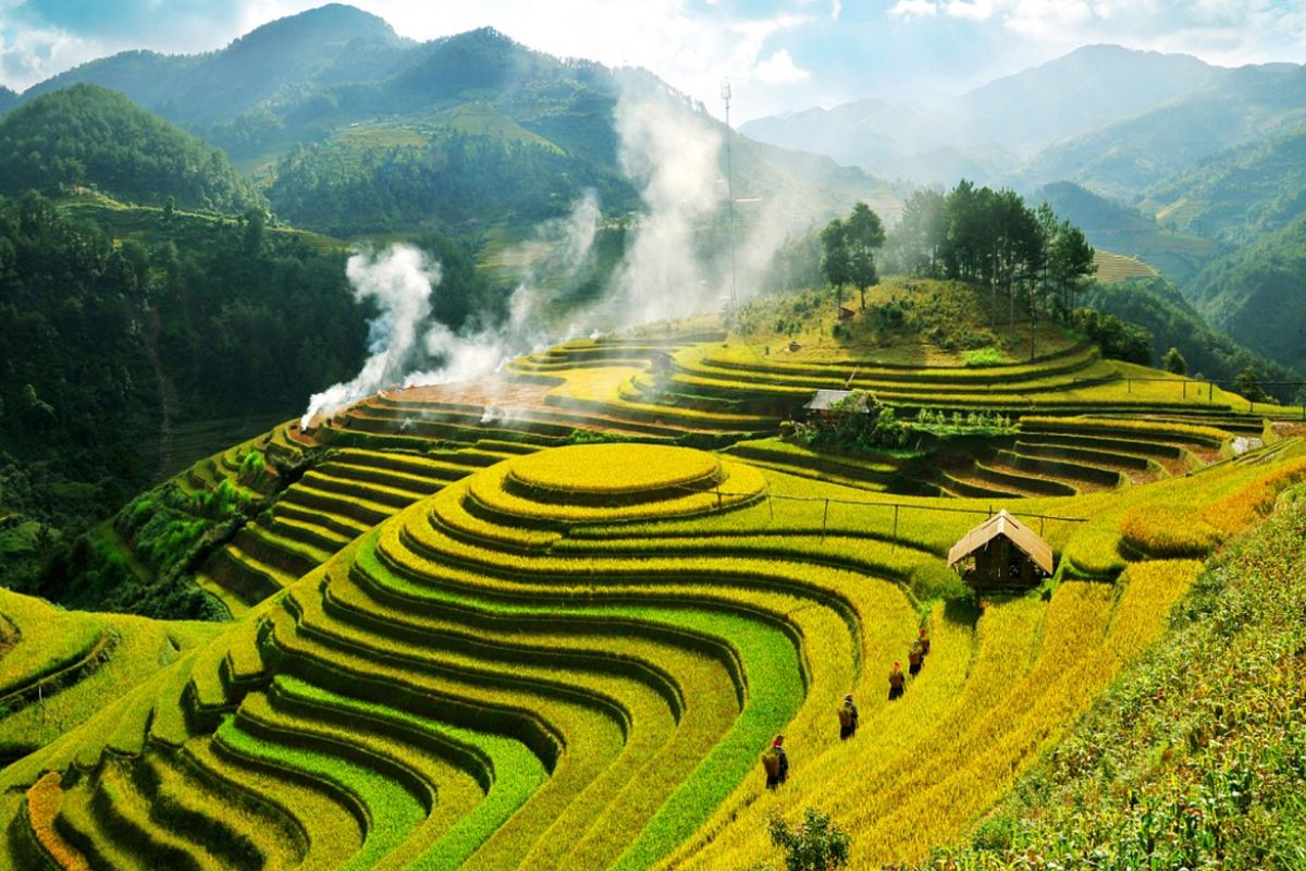 Sapa Valley Vietnam Sapa terraced fields