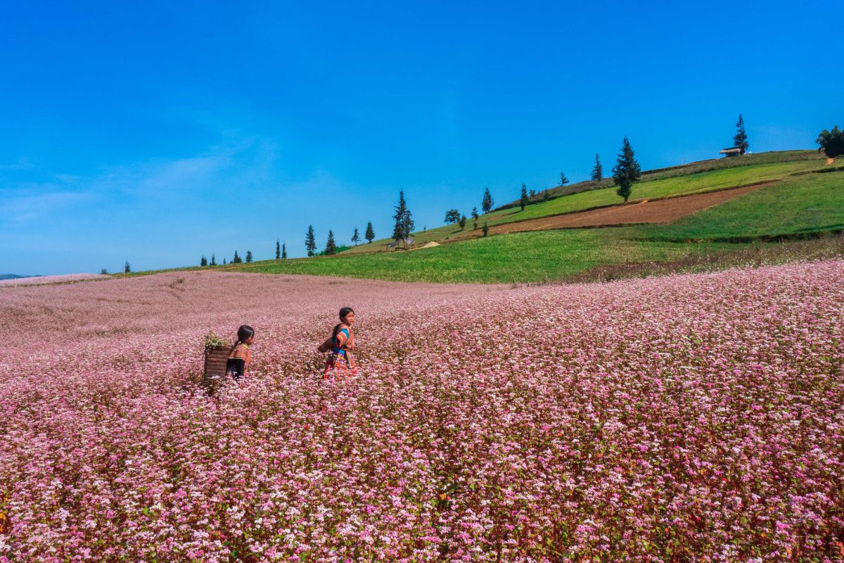 temperature in vietnam in october ha giang in October