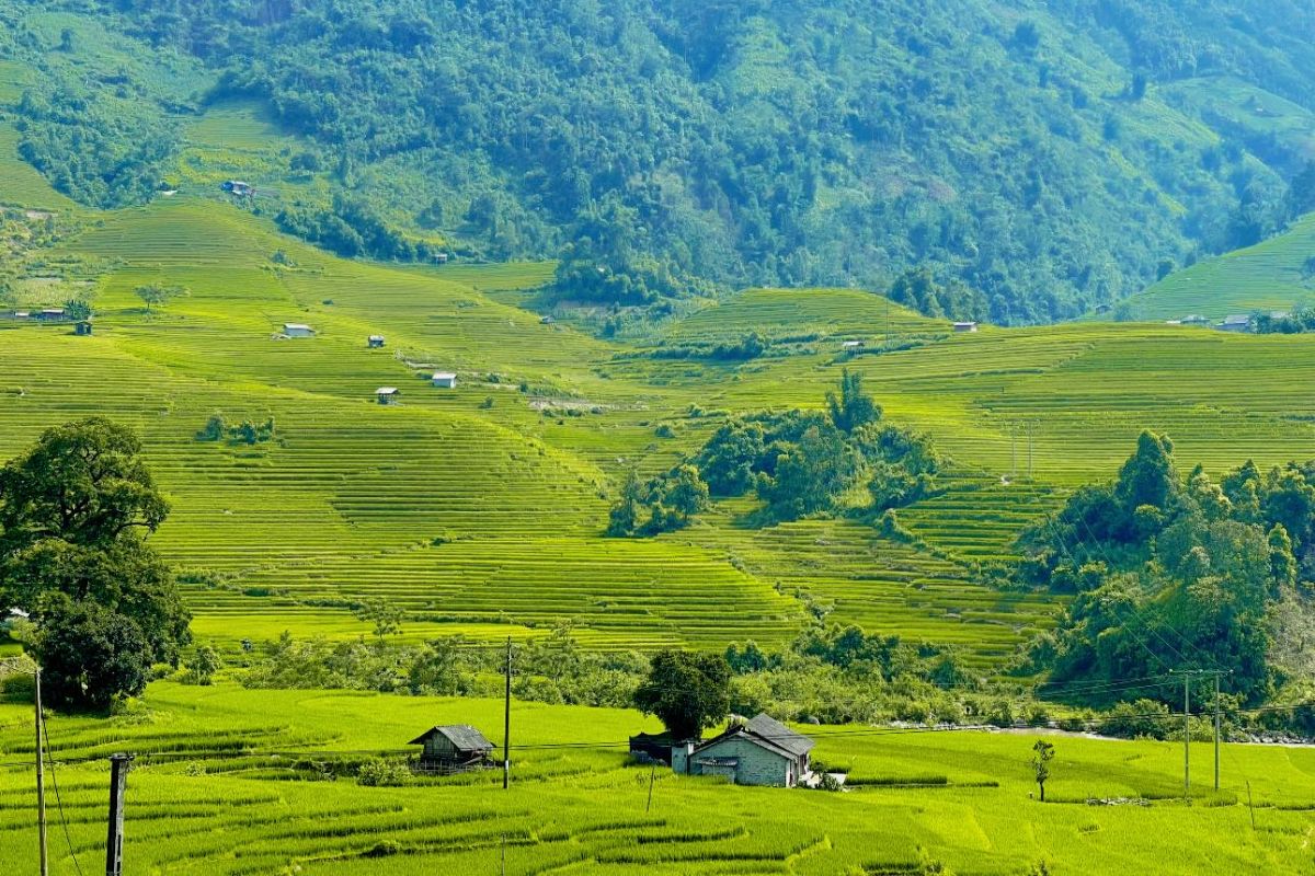 Sapa Valley Vietnam ta van valley