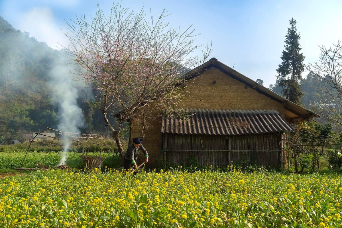 2 weeks in vietnam ha giang in spring